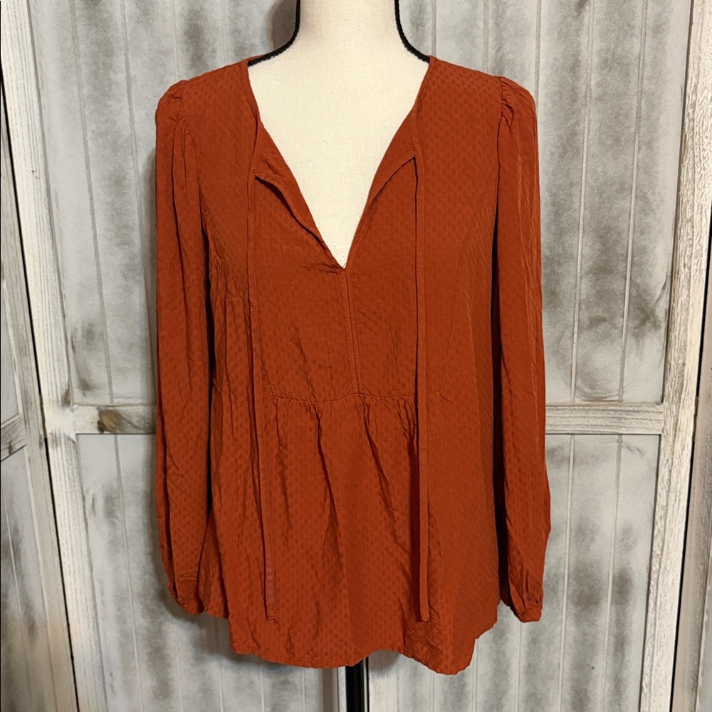 Universal Thread Rust Orange/Terracotta Clip Dot V-Neck Peasant Blouse